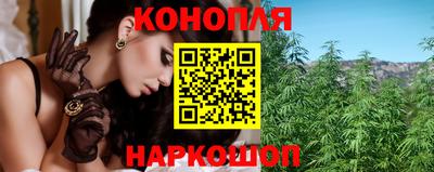 прущие грибы Канаш
