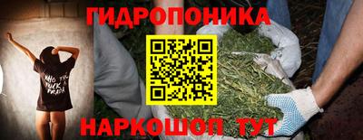 прущие грибы Канаш