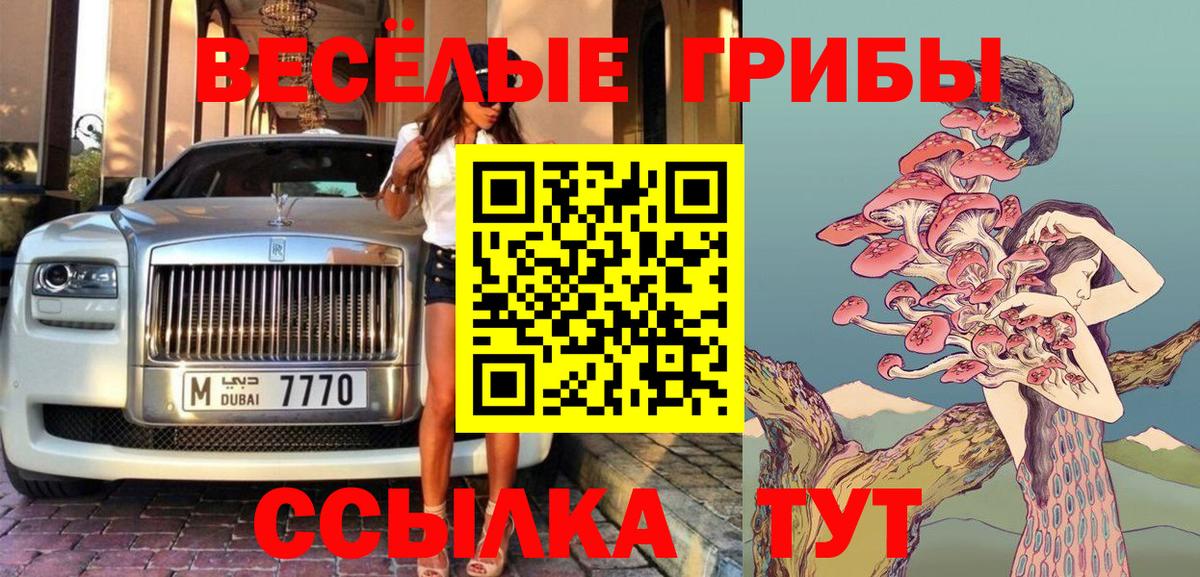 Псилоцибиновые грибы GOLDEN TEACHER Изобильный