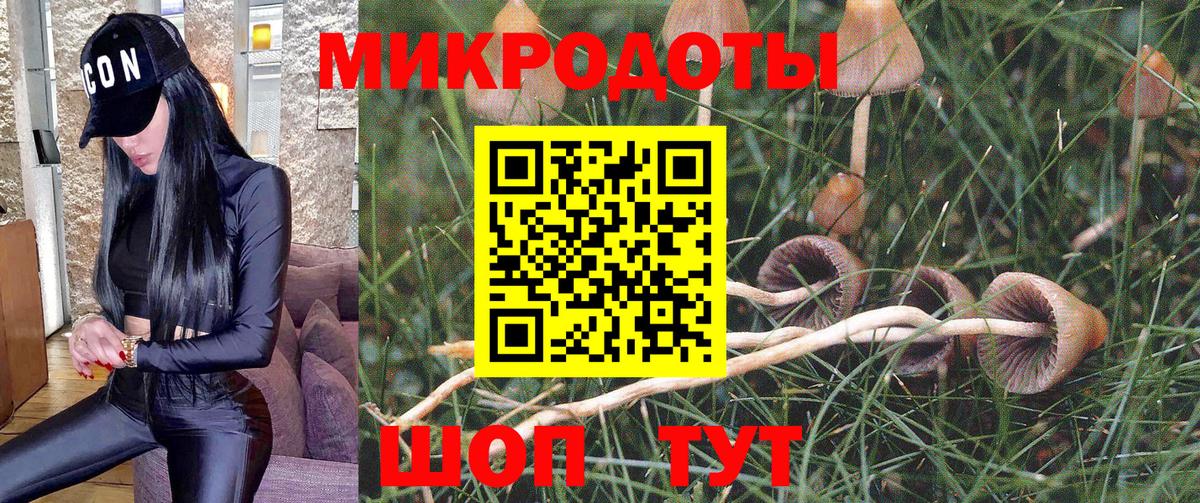 Псилоцибиновые грибы GOLDEN TEACHER  Вход с VPN  Изобильный  Галлюциногенные грибы MAGIC MUSHROOMS 