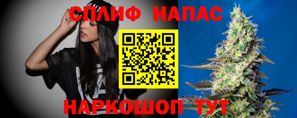 Канабис MAZAR  Конопля Ganja  Изобильный  Вход с VPN 